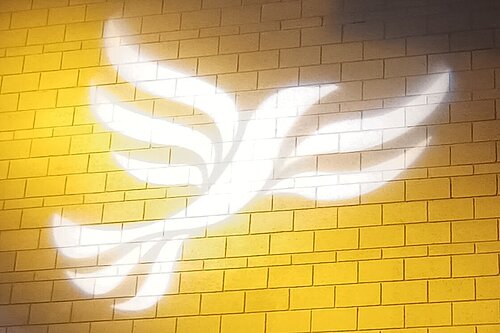 Lib Dem logo bird projected on blockwork