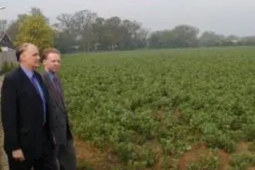 Cllr. Tom Smith-Hughes & Stephen Robinson review a field north of Chelmsford where the Conservatives want to build houses