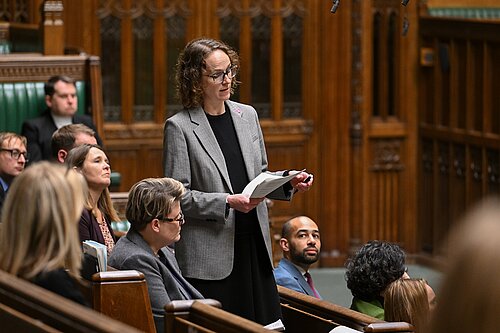 Alison in the chamber of the houses of parliament speaking