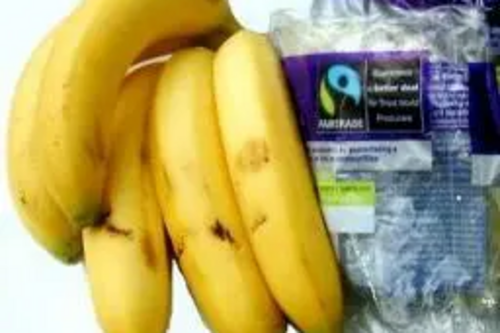 Fair trade bananas